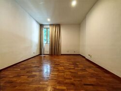 Nassim Regency (D10), Condominium #446407771